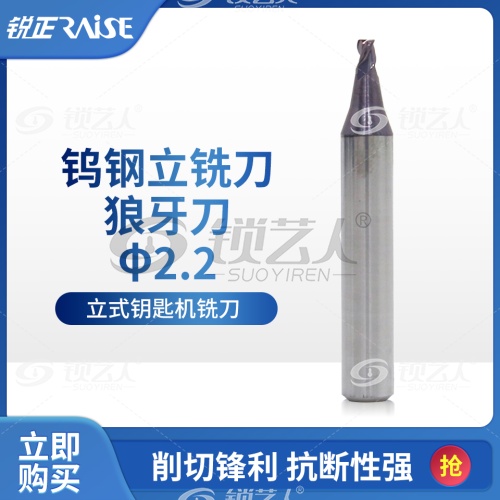 锐正RZ-EW5522B-钨钢-立铣刀-狼牙刀  φ2.2xφ6x40 立式钥匙机铣刀  竞技 文兴  