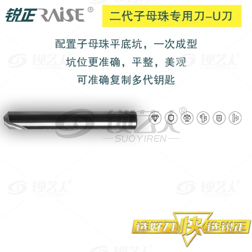 锐正RZ-U刀-钨钢-二代子母珠专用铣刀-D6x95°x40x2T-P2.6