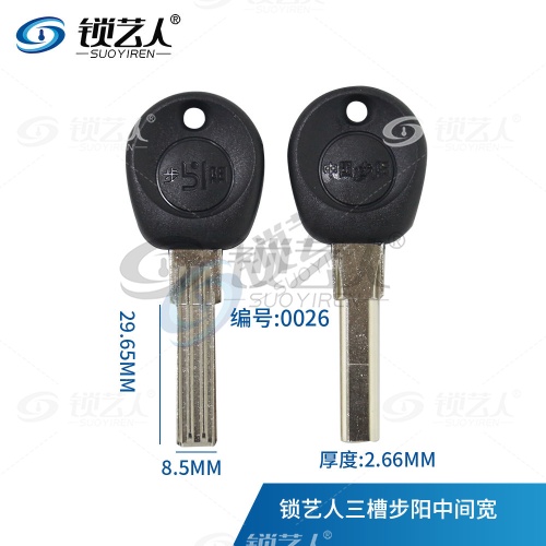 步阳双排 钥匙坯 打点 中间凹槽宽 群升共用  0026