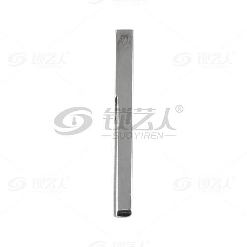 166#哈弗大狗 欧拉好猫中卡位钥匙头 子机通用折叠头